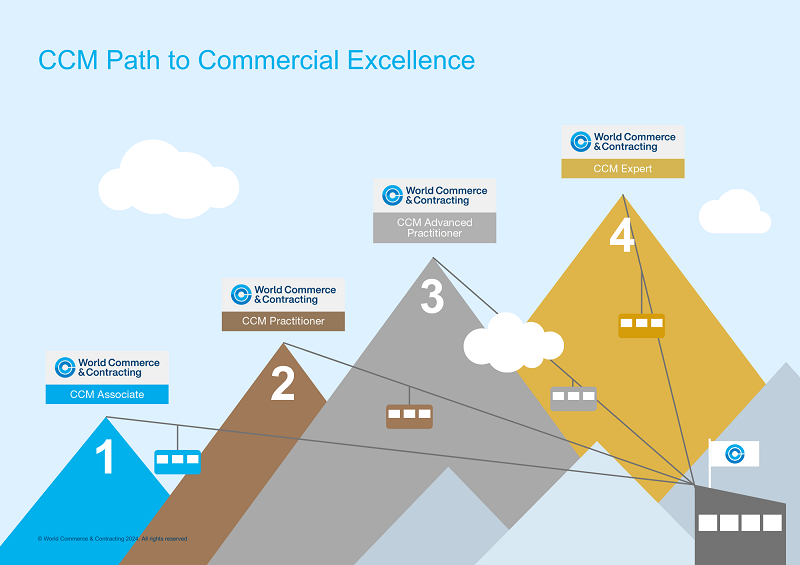 CCM Path to Commercial Excellence